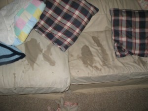 milk-mess-2