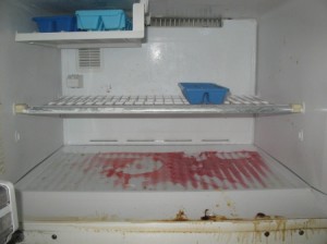 Freezer