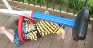 a-bug-in-a-spider-net-2