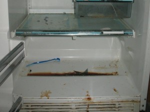 Fridge