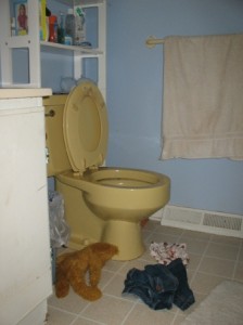 toilet-resized