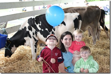fun at the county fair