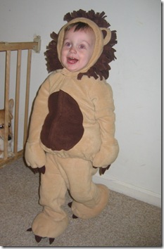 ROAR!!