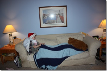 the reindeer and the sleigh