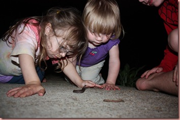 IMG_8188 IMG_8188