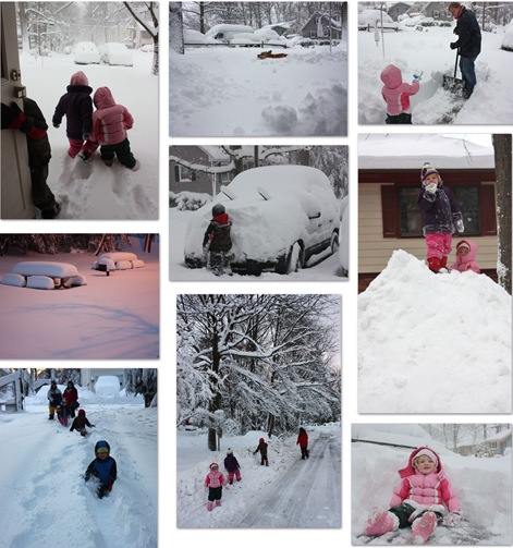 blizzard 2010